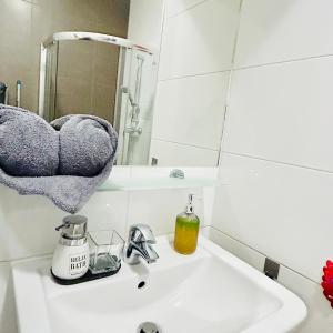 Luxury and cozy apartment Vinohrady Prague