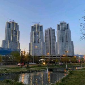 Bloom Apartments D235