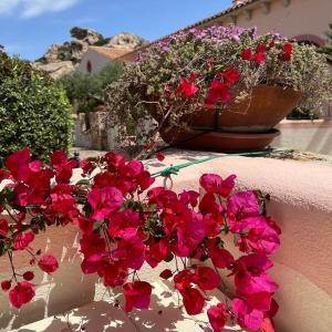 Capo d Orso - Borgo dell Orso - Casa vacanze