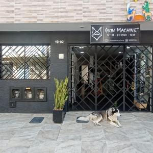 Casa arte