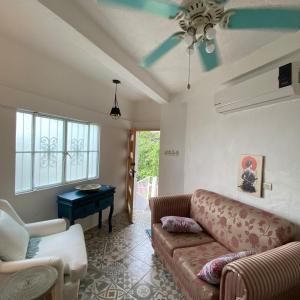 Walkable Cultural PV River House