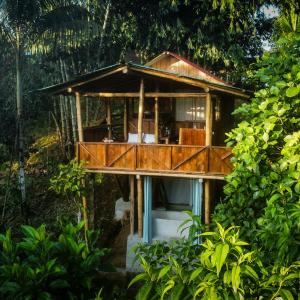 Toucan Lodge