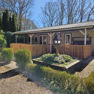 5 sterren - Familie camping in Raalte