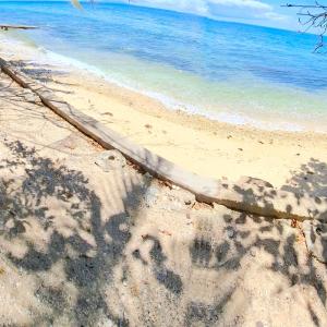 WUJOB Beach Campsite