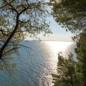 Squirrel Beach Front Villa, Metamorfosi