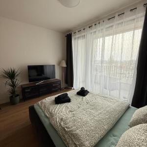 Cozy apartment in downtown