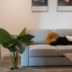 Luxury Flat The Only One with AirCon