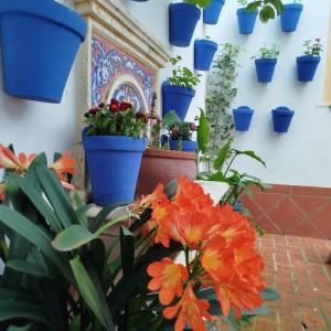 Hotel La Ribera