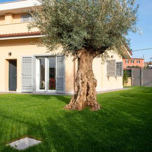 Villini dell'acquedotto Felice