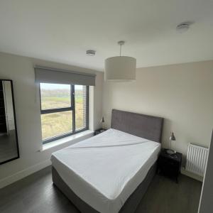 Charming Flat in North Dublin