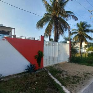 Estudio Independiente, Tres Flamencos