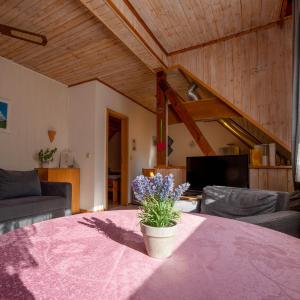 Ferienwohnungen Behling am Schufutsberg