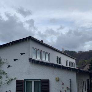 Rosenstufen