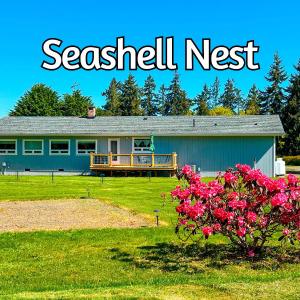 Sq Seashells Nest