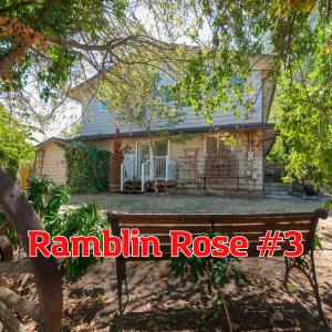 SQ Ramblin Rose 3