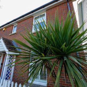 The Sandy Retreat - Camber Sands