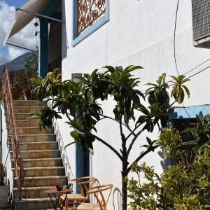 Guesthouse Seaview Dhermi