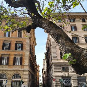 Vatican near Sweet Home Terrace