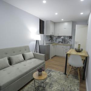 Arlis Apartments - near North and South Terminal