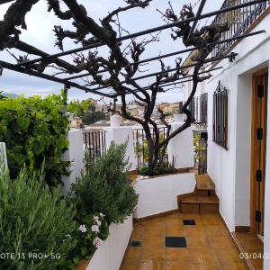 La Casita de la Parra