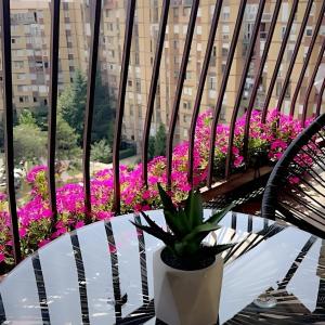 Apartment in Center of Prishtina
