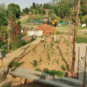 Kurma cottage