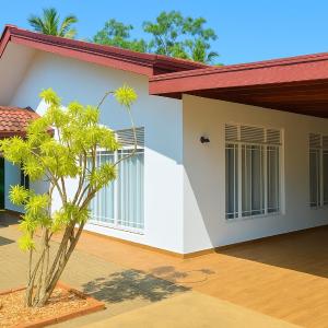 Tropical Haven
