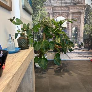 Enjoy Garden - Flavio Baracchini 9 - Rooms