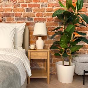 Studio Premium with Air Conditioning for couples in the heart of Krakow, Main Square