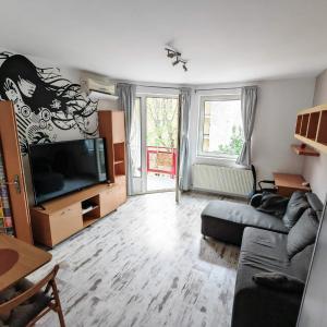 Dragon Suite Apartment