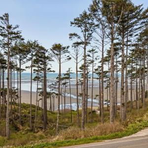 King Tide by Seabrook Hospitality