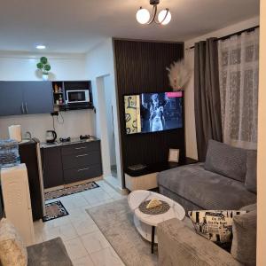 Greenzone apt, 1BR Kiambu Road