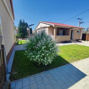 Sweet Summer Apartman Zsory
