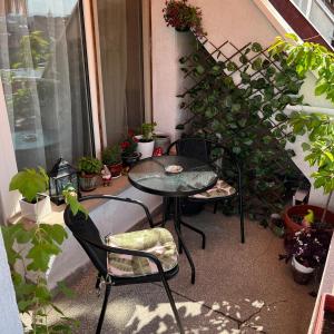 The Nest Above Sofia Studio