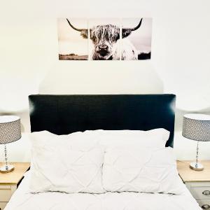 Elegant Room in Glasgow City Center