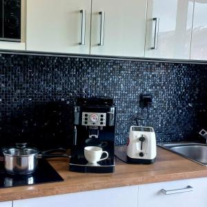 Apartament Sildatk