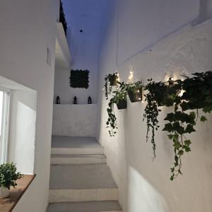 Casa Borete