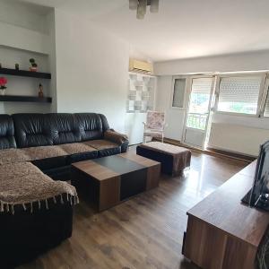 Spacious Apartment