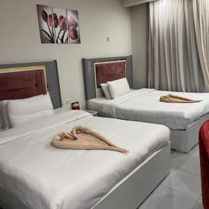Scandic سكاندك