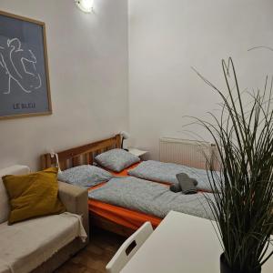 Vibrant City Center Rooms
