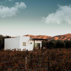 Casa Colibri Guadalupe Valley