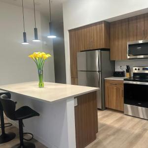 Walk of Fame Upscale Hollywood 2bedroom 2bath Apartment Pool, Sky Lounge, Free parking