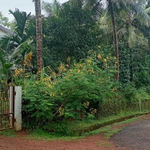 Shree GANESH HOMESTAY
