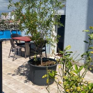 Flori Penthouse City Center P1