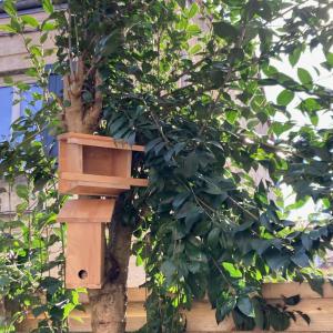 Chambre dans un appartement avec jardin