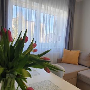 Suite Sandra Apartament