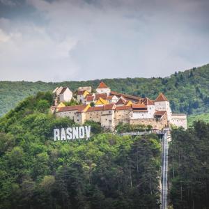 Nest for Soul Rasnov