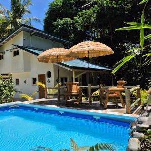 Amazing Ocean View Treehouse & Pool