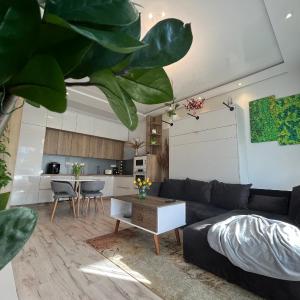 Cozy apartment - 3 guests