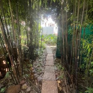 LightHouse Sanctuary